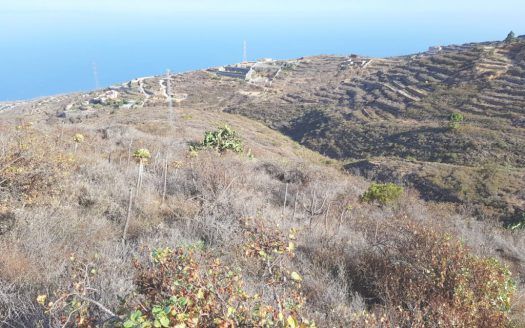 Finca rústica en Anocheza, Güímar