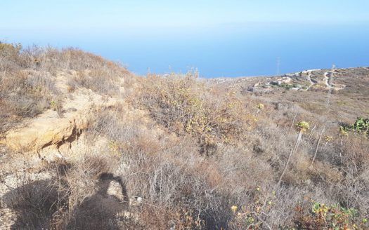 Finca rústica en Anocheza, Güímar