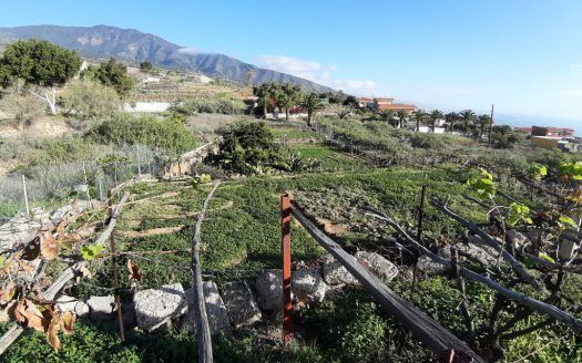 Terreno rústico, céntrico en Arafo
