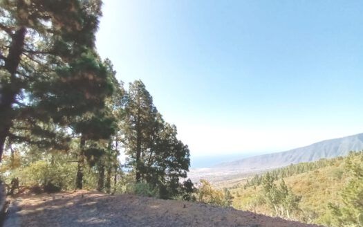 Se vende propiedad singular en el monte de los Frailes en los altos de Arafo