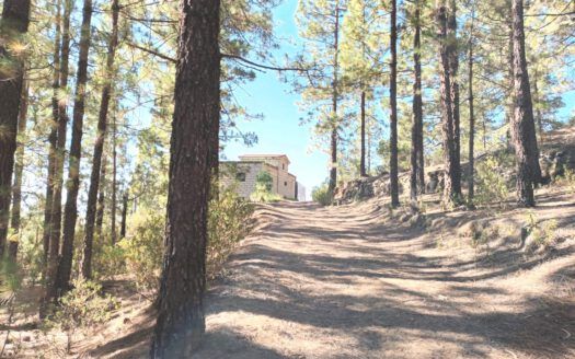 Se vende propiedad singular en el monte de los Frailes en los altos de Arafo