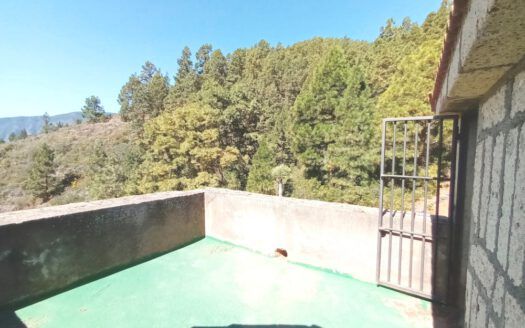 Se vende propiedad singular en el monte de los Frailes en los altos de Arafo