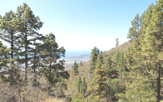 Se vende propiedad singular en el monte de los Frailes en los altos de Arafo