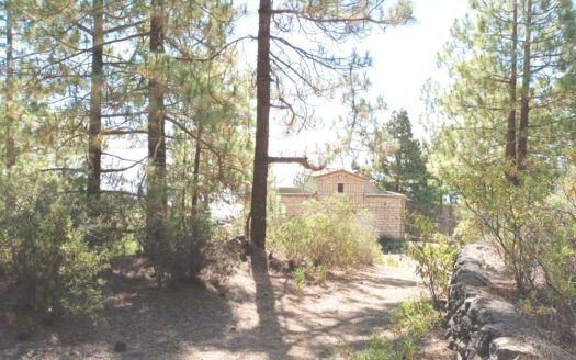 Se vende propiedad singular en el monte de los Frailes en los altos de Arafo