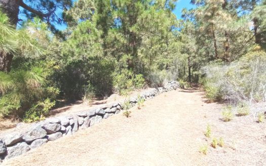 Se vende propiedad singular en el monte de los Frailes en los altos de Arafo