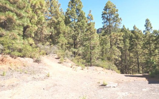 Se vende propiedad singular en el monte de los Frailes en los altos de Arafo