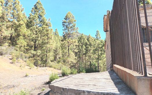 Se vende propiedad singular en el monte de los Frailes en los altos de Arafo