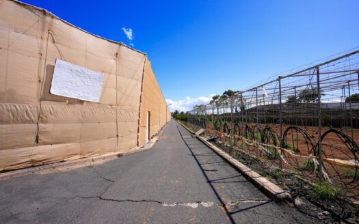 Se vende fantástica finca en Güímar