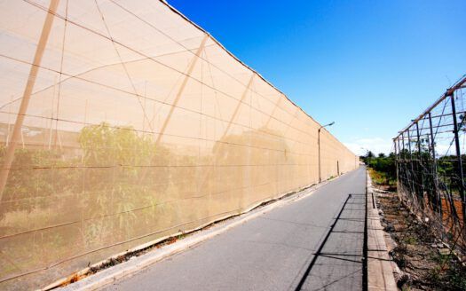 Se vende fantástica finca en Güímar