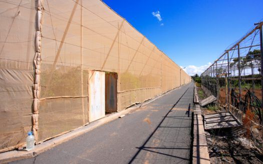 Se vende fantástica finca en Güímar