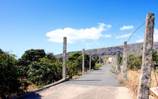 Se vende fantástica finca en Güímar