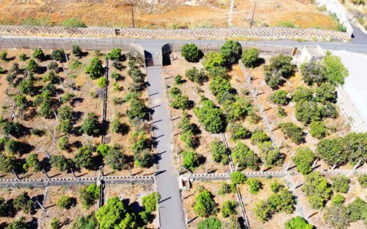 Se vende fantástica finca en Güímar