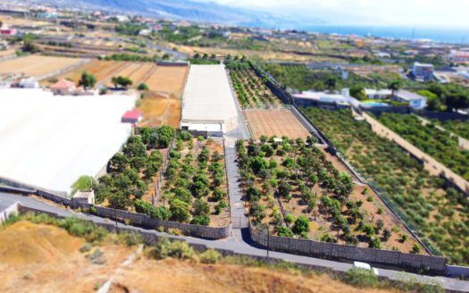 Se vende fantástica finca en Güímar