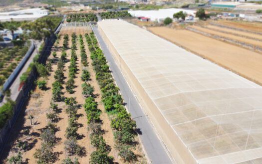 Se vende fantástica finca en Güímar