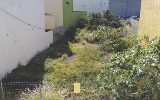 ¡¡ Gran oportunidad!! Se vende magnífico solar en zona céntrica en Güímar