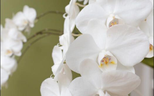 Venta de magnífico chalet en la Orotava, en la zona de Las Cuevas.