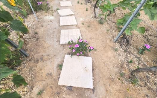 Se vende encantadora casa con terreno en Güímar