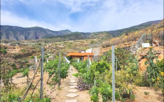 Se vende encantadora casa con terreno en Güímar