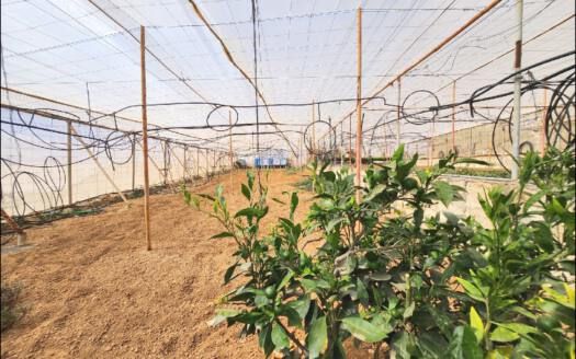 Se vende bonita propiedad en Arico zona Marzagán