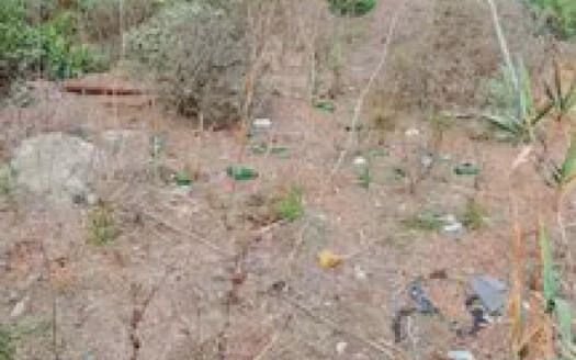 Se alquila terreno rústico en Arafo