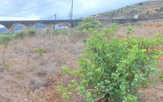 Se alquila terreno rústico en Arafo