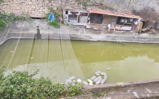 Se vende magnífica finca en Fasnia