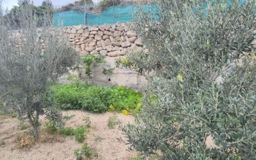 Se vende magnífica finca en Fasnia