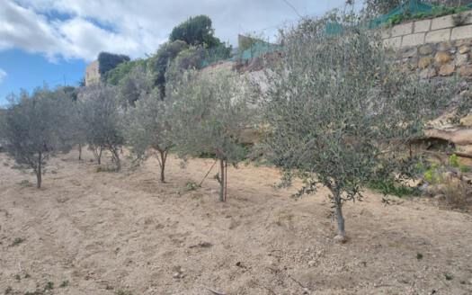 Se vende magnífica finca en Fasnia