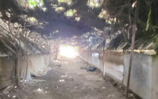 Se vende magnífica finca en Fasnia