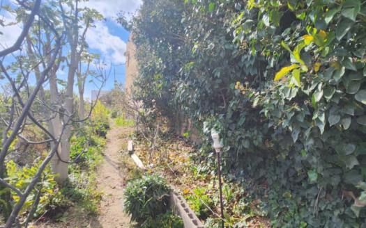 Se vende magnífica finca en Fasnia