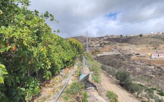 Se vende magnífica finca en Fasnia