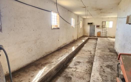 Se vende magnífica finca en Fasnia