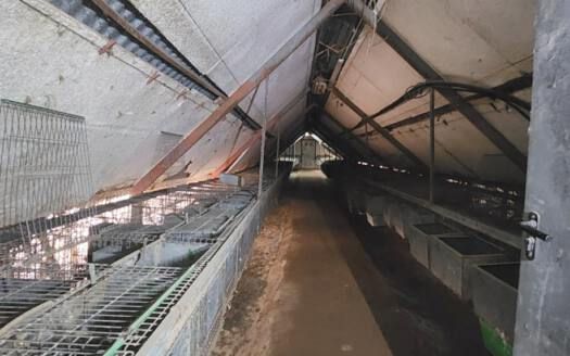 Se vende magnífica finca en Fasnia