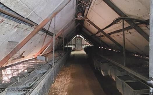 Se vende magnífica finca en Fasnia