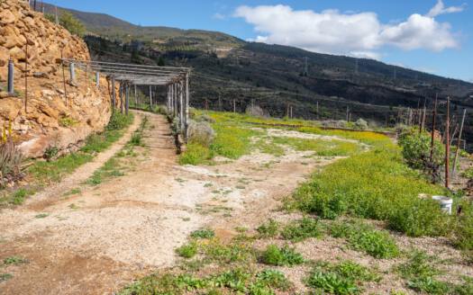 Se vende fantástica finca con vivienda