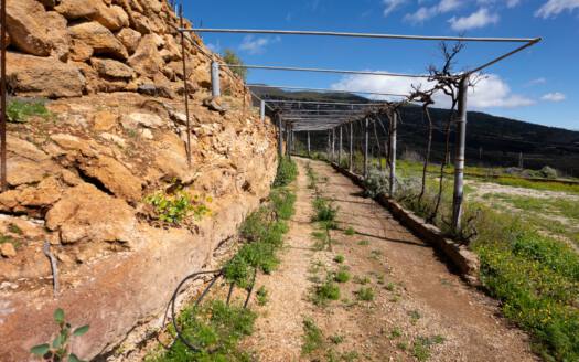 Se vende fantástica finca con vivienda