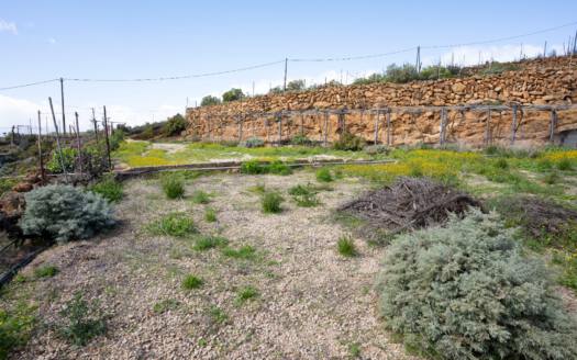 Se vende fantástica finca con vivienda