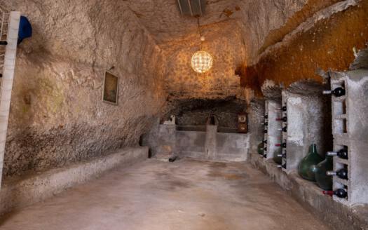 Se vende fantástica finca con vivienda