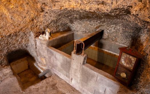 Se vende fantástica finca con vivienda