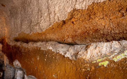 Se vende fantástica finca con vivienda