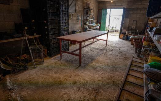 Se vende fantástica finca con vivienda