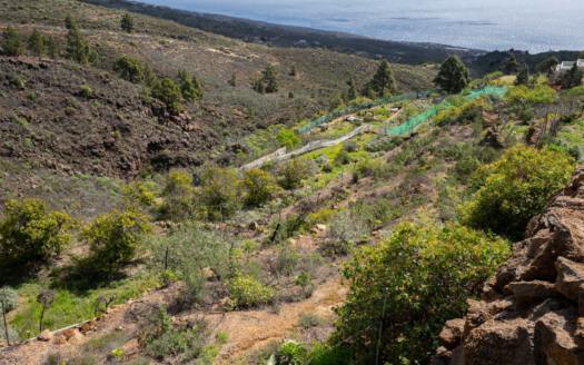 Se vende fantástica finca con vivienda