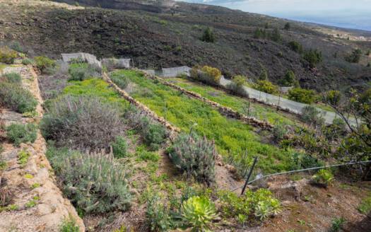 Se vende fantástica finca con vivienda