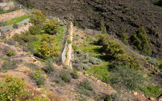 Se vende fantástica finca con vivienda