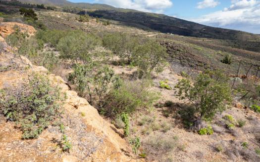 Se vende fantástica finca con vivienda