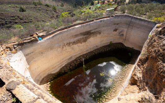 Se vende fantástica finca con vivienda