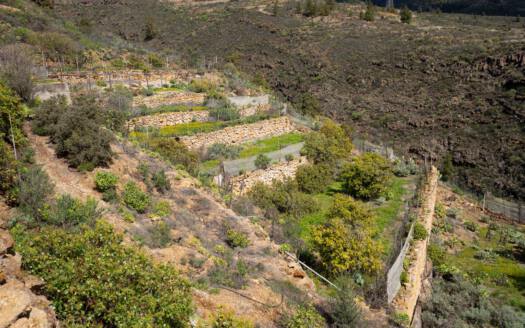 Se vende fantástica finca con vivienda