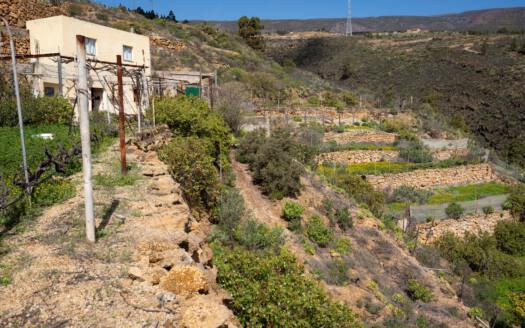 Se vende fantástica finca con vivienda