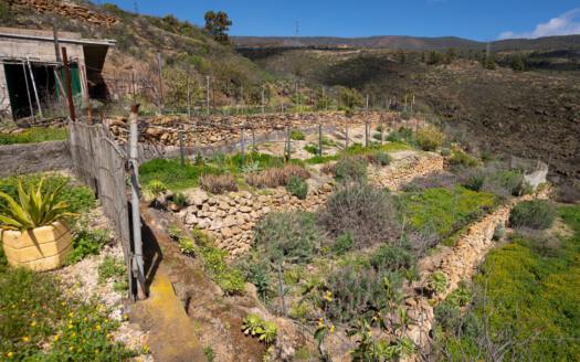 Se vende fantástica finca con vivienda