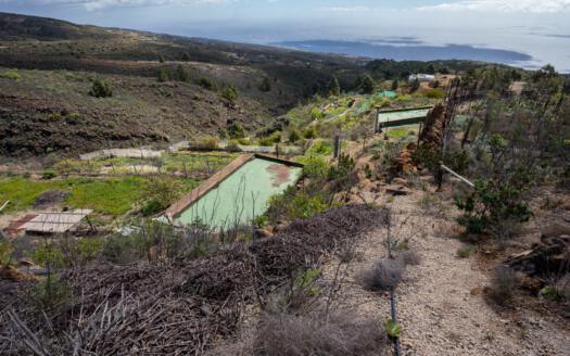 Se vende fantástica finca con vivienda